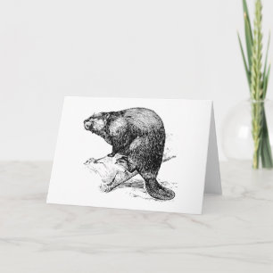 Beaver #1 card