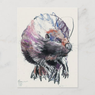 Beaver 2001 postcard