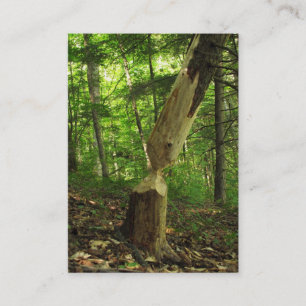 Beaver at Work ATC Business Card