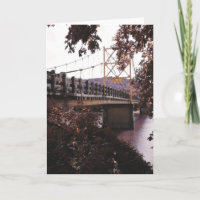 beaver bridge