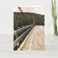 beaver bridge