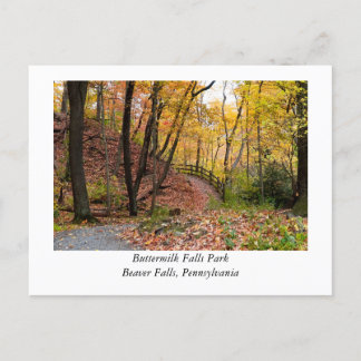 Beaver Falls Pennsylvania Postcard