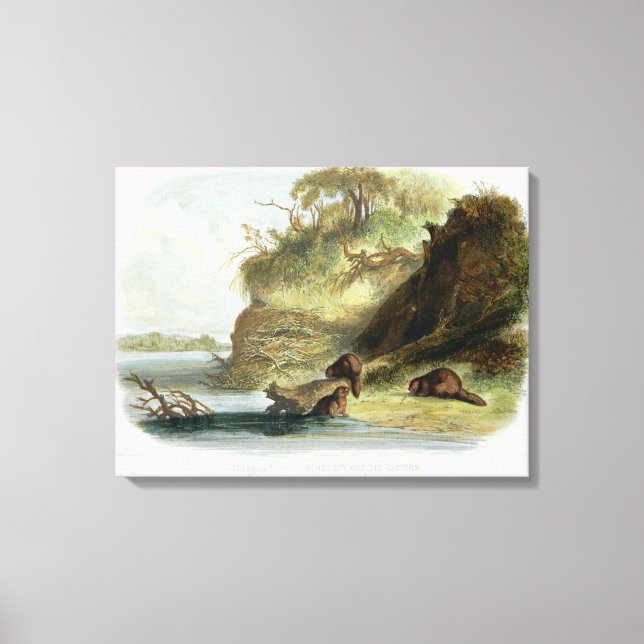 Beaver Hut on the Missouri, plate 17 from volume 1 Canvas Print (Front)