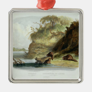 Beaver Hut on the Missouri, plate 17 from volume 1 Metal Tree Decoration