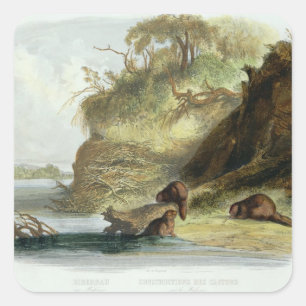Beaver Hut on the Missouri, plate 17 from volume 1 Square Sticker