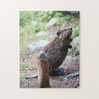 Beaver Jigsaw Puzzle