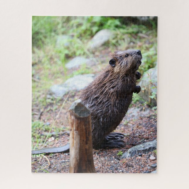 Beaver Jigsaw Puzzle (Vertical)