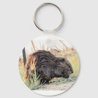 Beaver Keychain