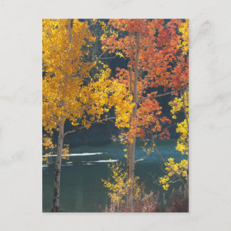 Beaver Lake (Mesa Lakes) in Autumn Postcard