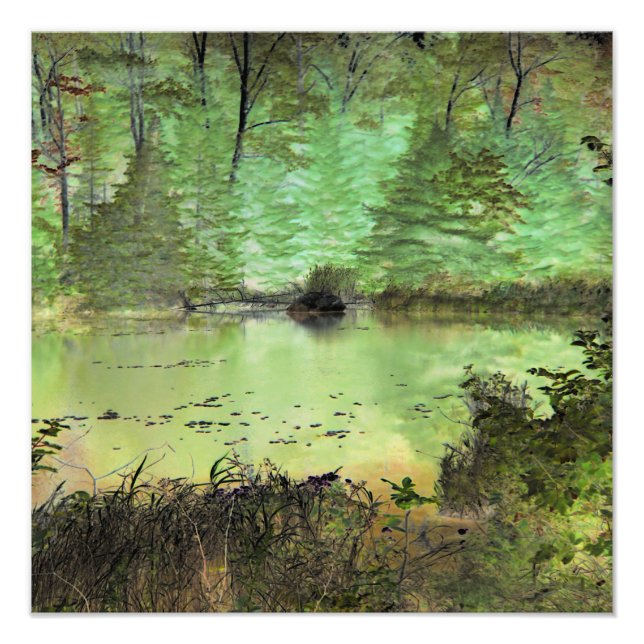 Beaver Lodge II: Digitally Transformed Forest Pond Photo Print (Front)