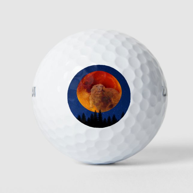 Beaver Moon in November Golf Balls (Front)