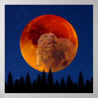 Beaver Moon in November