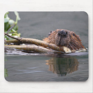 Beaver Mouse Pad