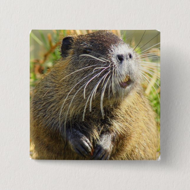 Beaver Photo Square Pin (Front)