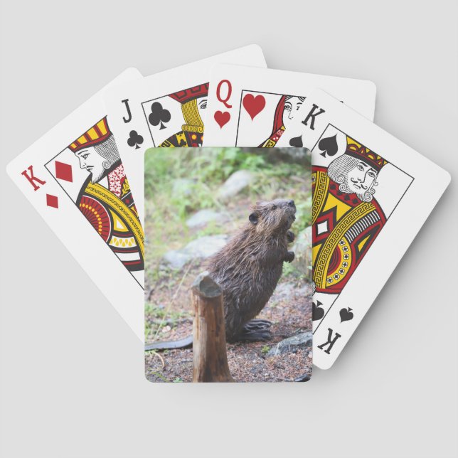 Beaver Playing Cards (Back)
