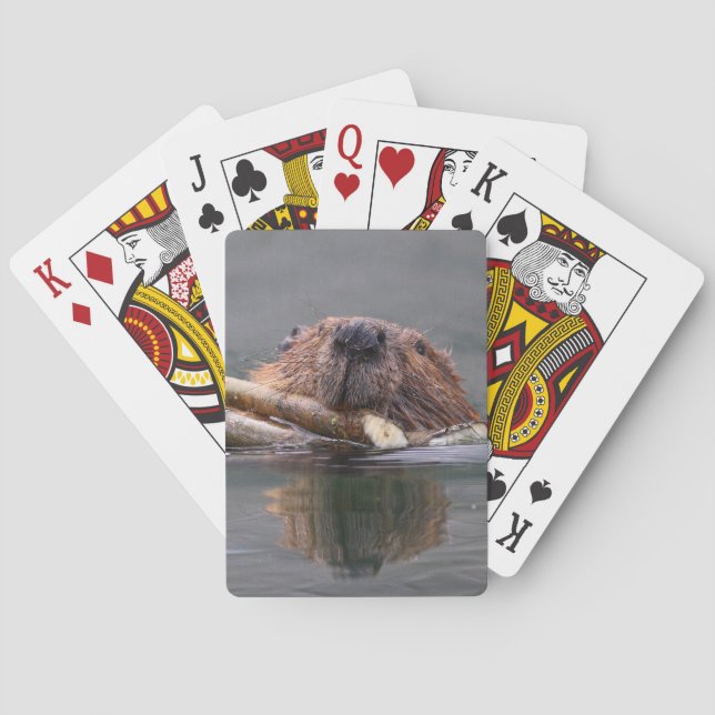 beaver playing cards (Back)