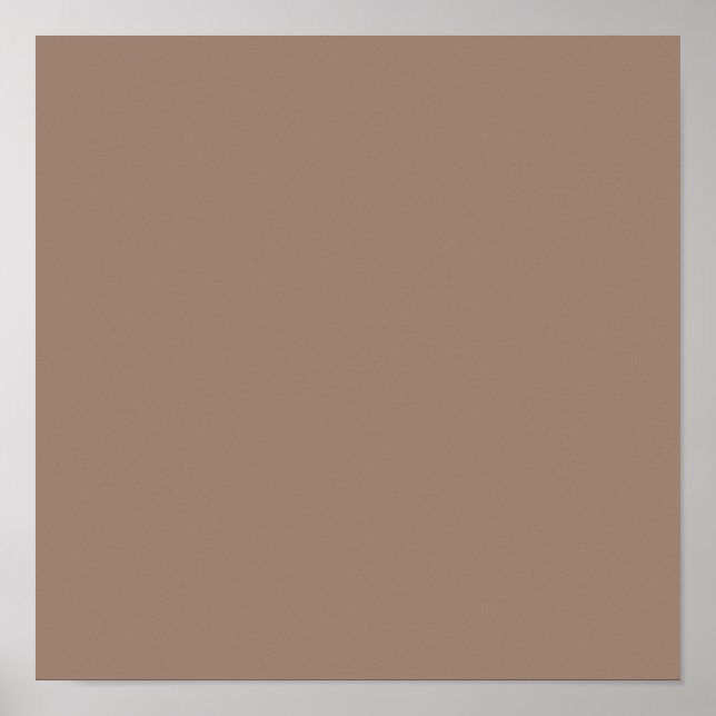 Beaver  (solid colour)  poster (Front)