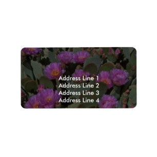 Beaver Tail Cacti Label