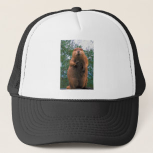 Beaver Trucker Hat