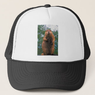 Beaver Trucker Hat