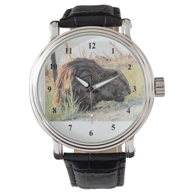 Beaver Watch (Front)