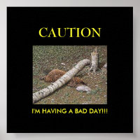 Beaver's Bad Day