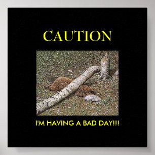 Beaver's Bad Day Poster
