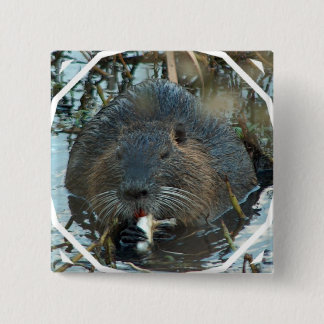 Beavers Habitat Square Pin