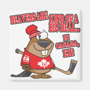 beavers kind of big deal in canada magnet