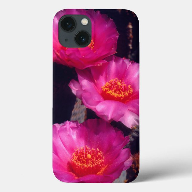 Beavertail Cactus Flowers 2 Case-Mate iPhone Case (Back)