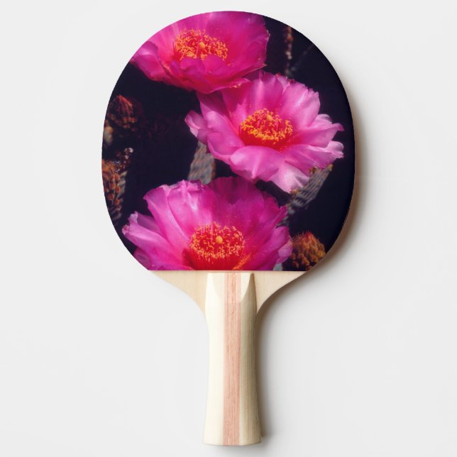Beavertail Cactus Flowers 2 Ping Pong Paddle (Front)