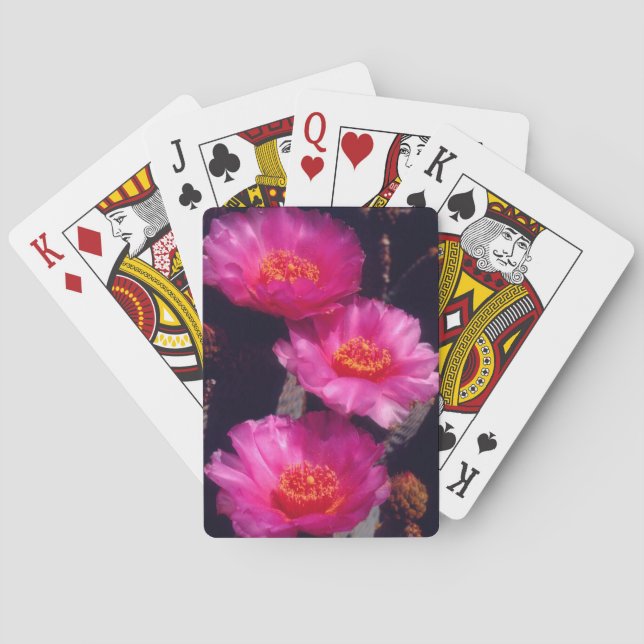 Beavertail Cactus Flowers 2 Playing Cards (Back)