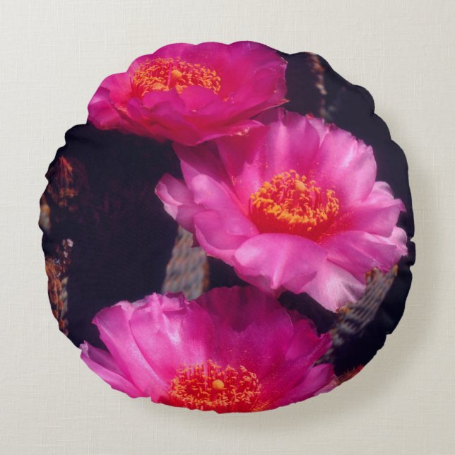 Beavertail Cactus Flowers 2 Round Cushion (Front)