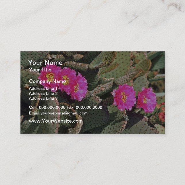 Beavertail Cactus flowers Business Card (Front)