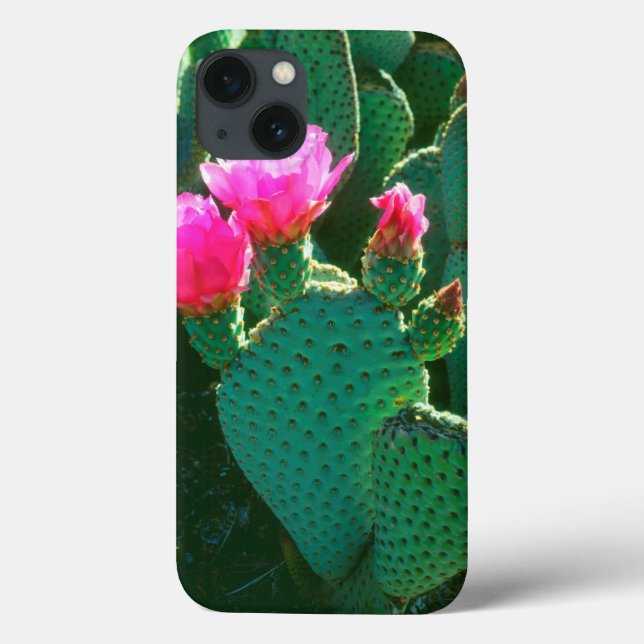 Beavertail Cactus Flowers Case-Mate iPhone Case (Back)