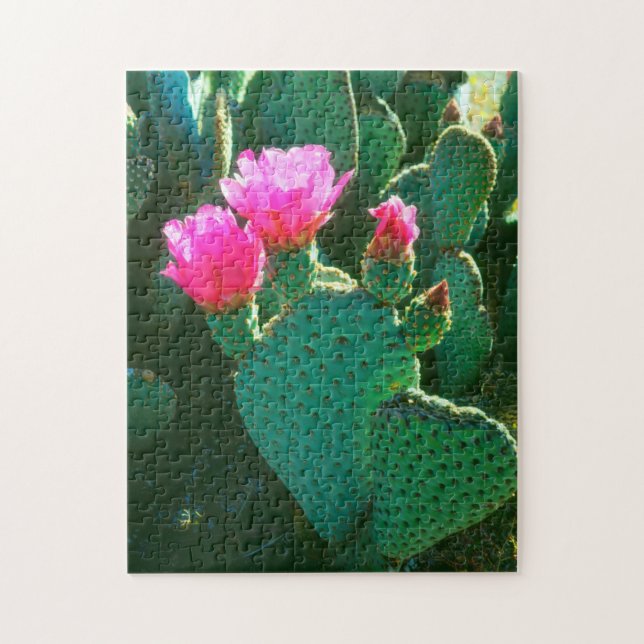Beavertail Cactus Flowers Jigsaw Puzzle (Vertical)