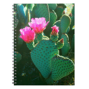 Beavertail Cactus Flowers Spiral Notebook