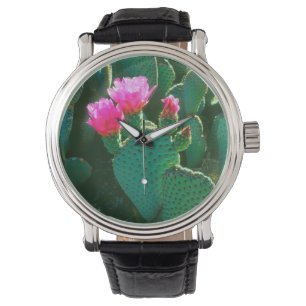 Beavertail Cactus Flowers Watch