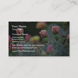 Beavertail Cactus Pink flowers Business Card