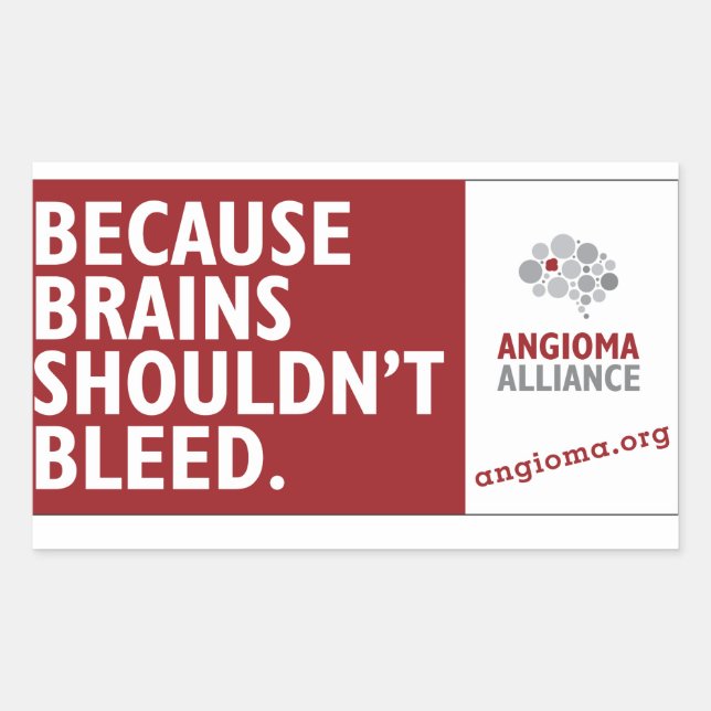 Because Brains Shouldn't Bleed Rectangular Sticker (Front)