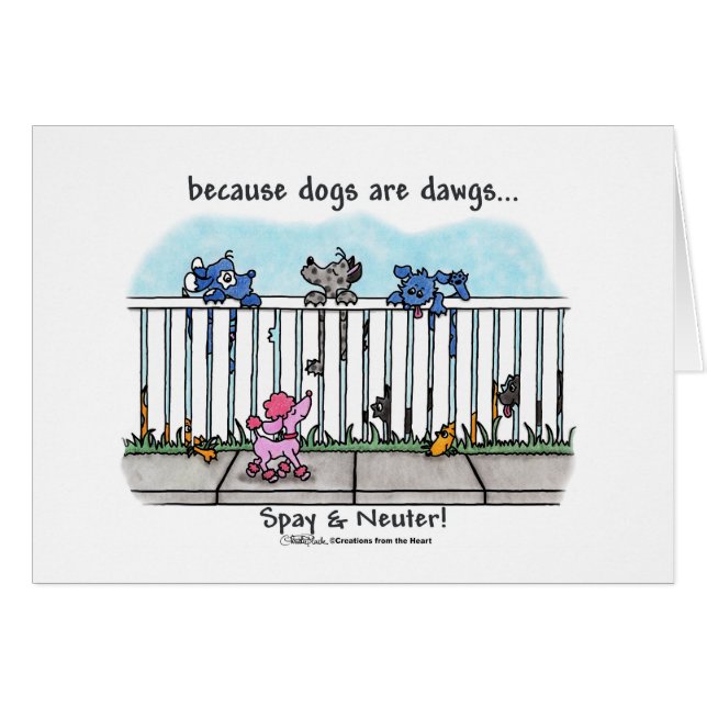 Because Dogs are Dawgs (Front Horizontal)