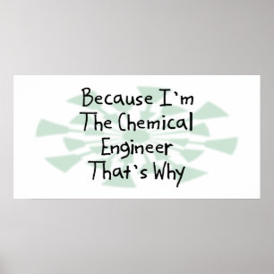 Because I'm the Chemical Engineer Poster