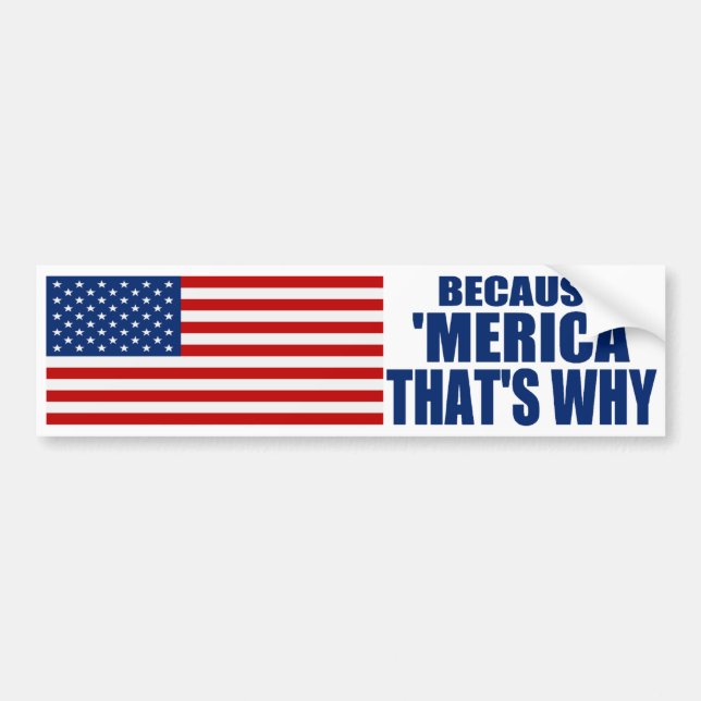 BECAUSE 'MERICA THAT'S WHY US Flag Bumper Sticker (Front)
