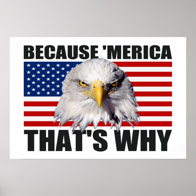 BECAUSE 'MERICA THAT'S WHY US Flag Poster (large) (Front)