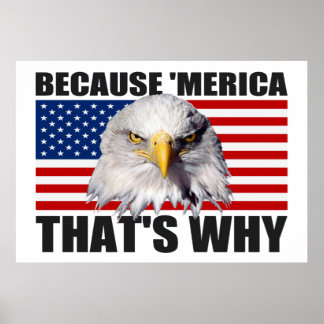 BECAUSE 'MERICA THAT'S WHY US Flag Poster (large)
