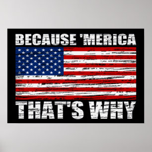 BECAUSE 'MERICA THAT'S WHY US Flag Poster (small)