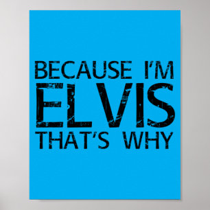 Because Retro Rock Singer Thats Why Funny Poster