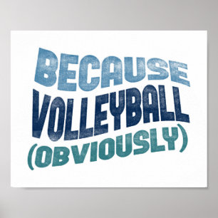 Because Volleyball Poster - Funny Volleyball Art