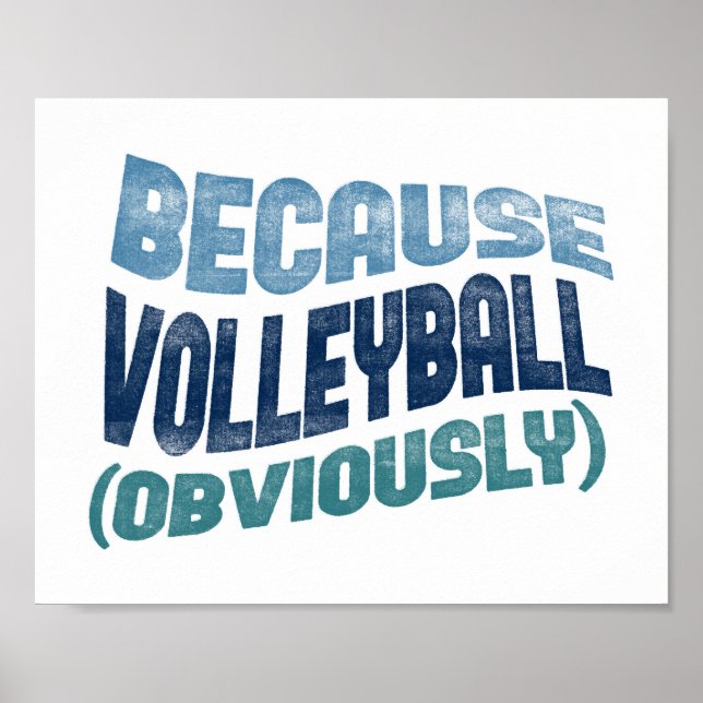 Because Volleyball Poster - Funny Volleyball Art (Front)