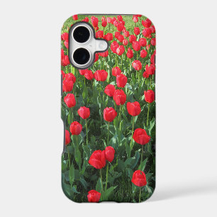Bed of Red Tulips 01